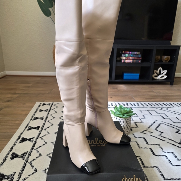 GORGEOUS Charles David Over-the-Knee Terrell Boots- New! Never Worn! - Picture 2 of 11